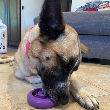Freez Doughnut - Super Durable Treat Toy - Doot's Pet LLC Collars For A Cause
