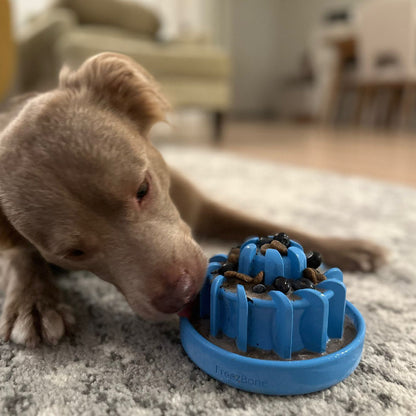 FreezLava Heavy-Duty Enrichment Chew - Doot's Pet LLC Collars For A Cause