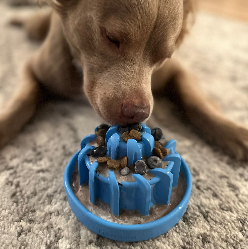 FreezLava Heavy-Duty Enrichment Chew - Doot's Pet LLC Collars For A Cause