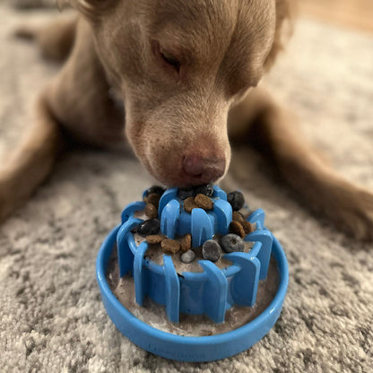 FreezLava Heavy-Duty Enrichment Chew - Doot's Pet LLC Collars For A Cause