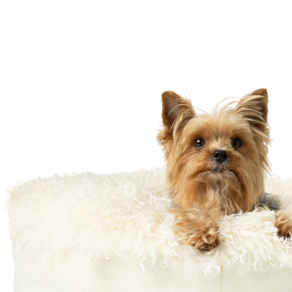 PupPouf™ Luxe Faux Fur Donut Dog Bed - Plush Sheep Ivory - Doot's Pet LLC Collars For A Cause