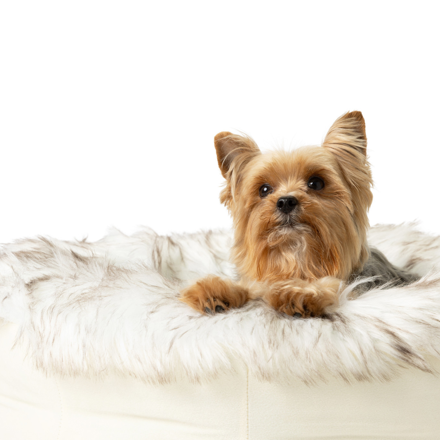 PupPouf™ Faux Fur Donut Dog Bed - White with Brown Accents - Doot's Pet LLC Collars For A Cause