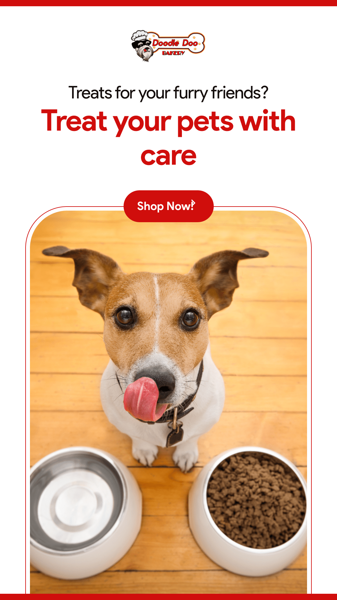 Party Bag Treat Blend 1lb - Homemade Dog Treats - Doot's Pet LLC Collars For A Cause