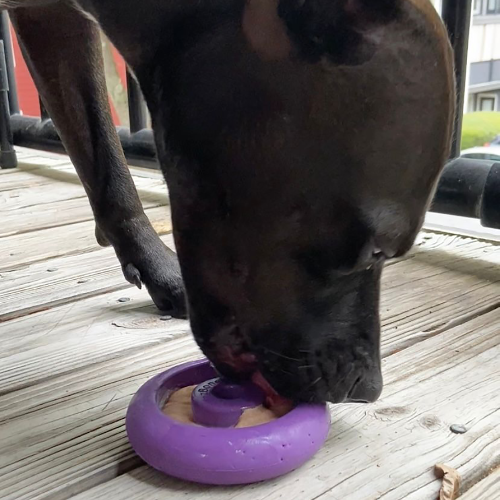 Freez Doughnut - Super Durable Treat Toy - Doot's Pet LLC Collars For A Cause