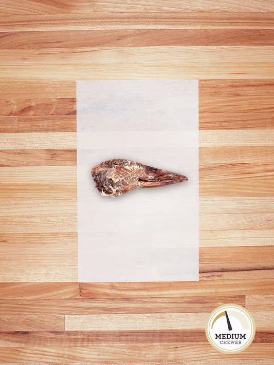 Duck Head - Doot's Pet LLC Collars For A Cause