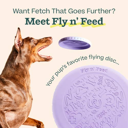 Woof - Fly n' Feed