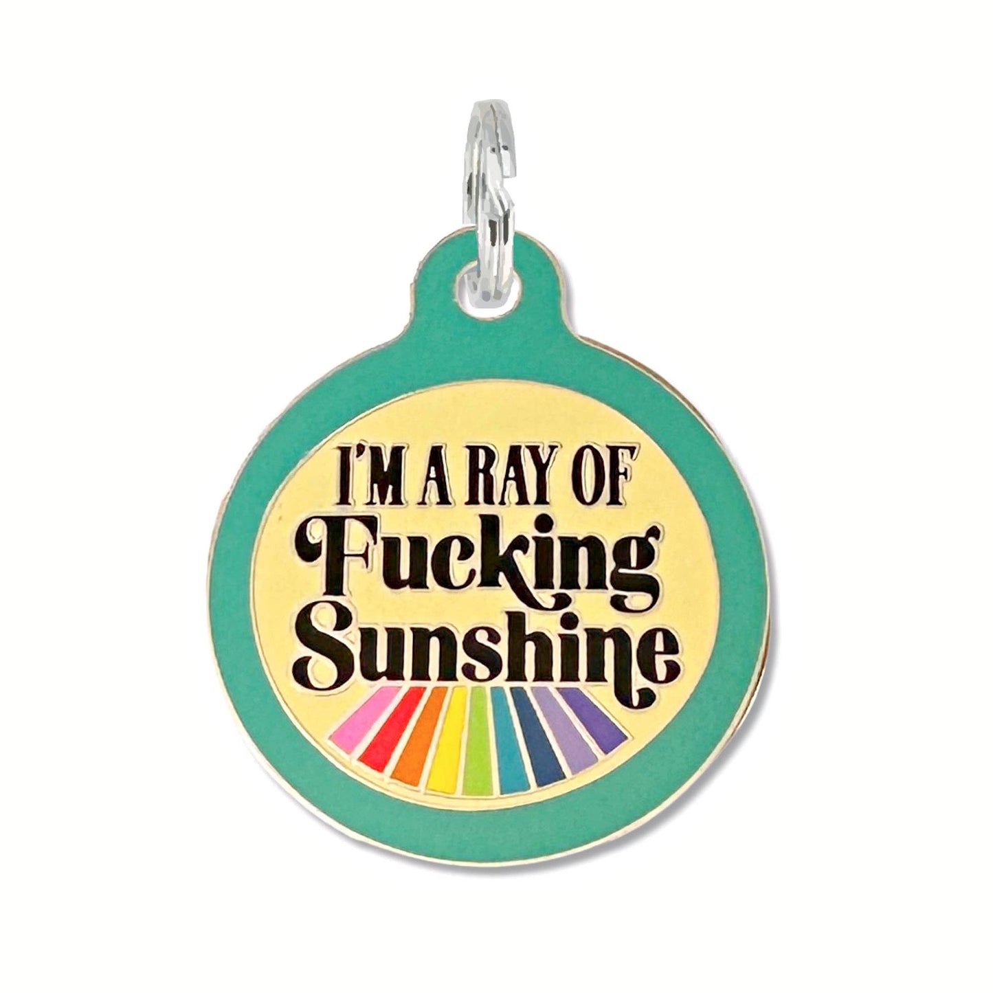 Bad Tags - Dog ID Tag with Personalized QR - Ray of Fucking Sunshine - Large / Teal / Engraved QR Code