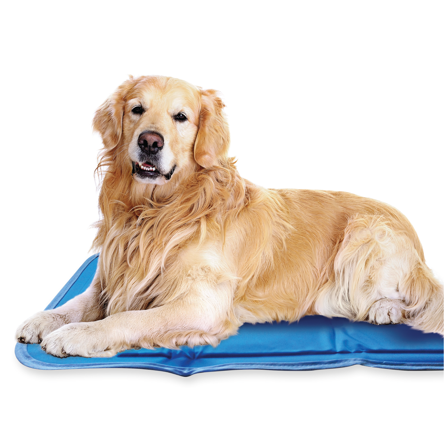 The Green Pet Shop - Cool Pet Pad