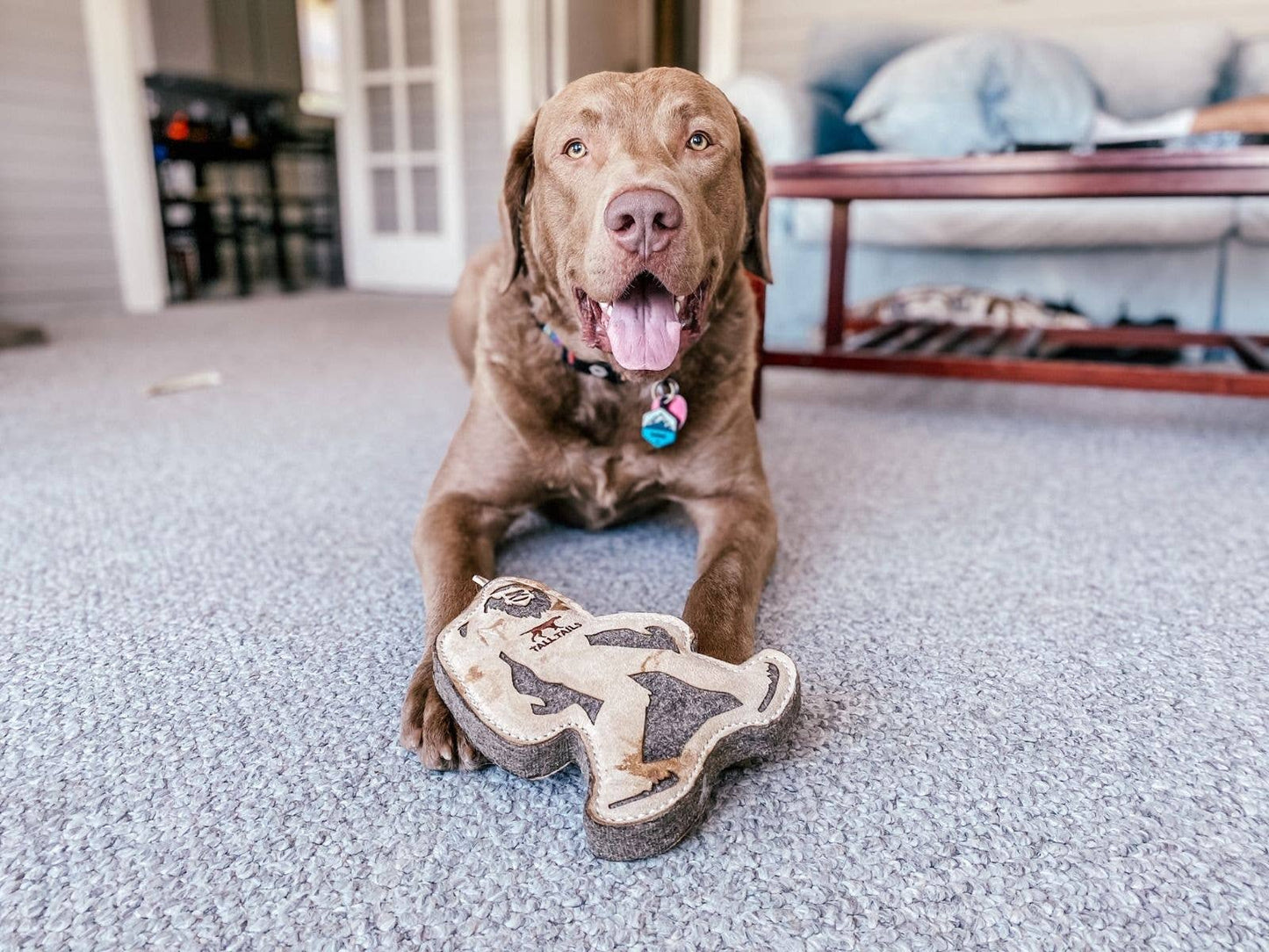 Tall Tails - Tall Tails Natural Leather & Wool Big Jr. - 9"