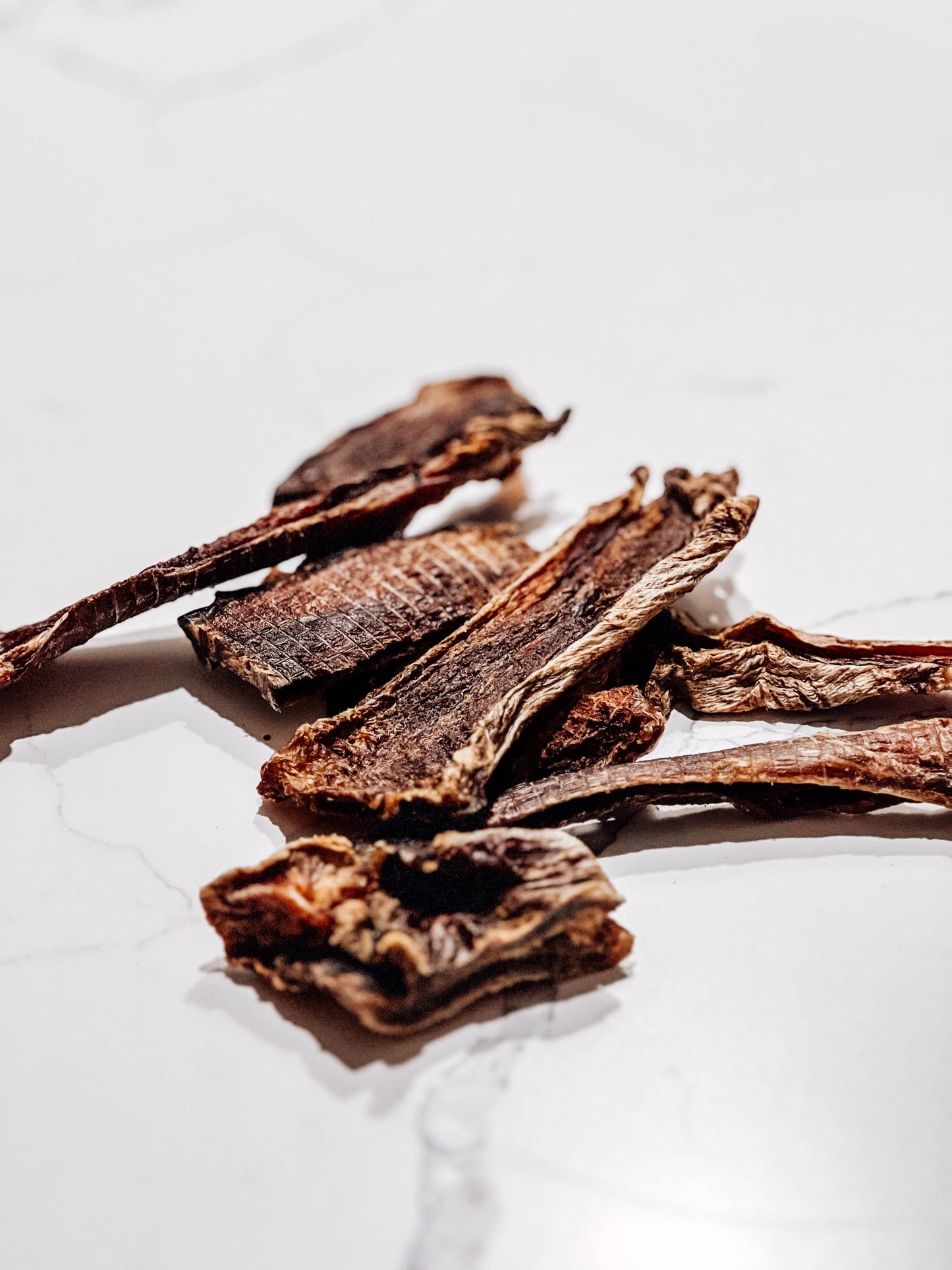 Doot's Chew Bar - Air-Dried USA Gator Leg Jerky, Whole Muscle - 1 piece