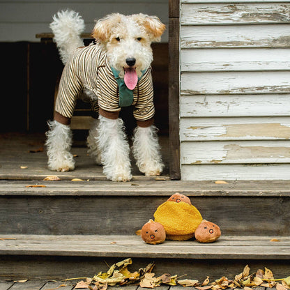 CHEWFFON - CHEWFFON Chestnut Hide & Seek Squeaky Dog Toy