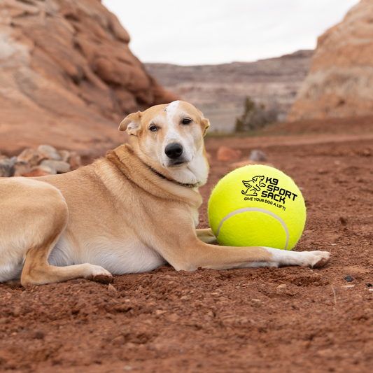 K9 Sport Sack - Too Big to Chew Tennis Ball