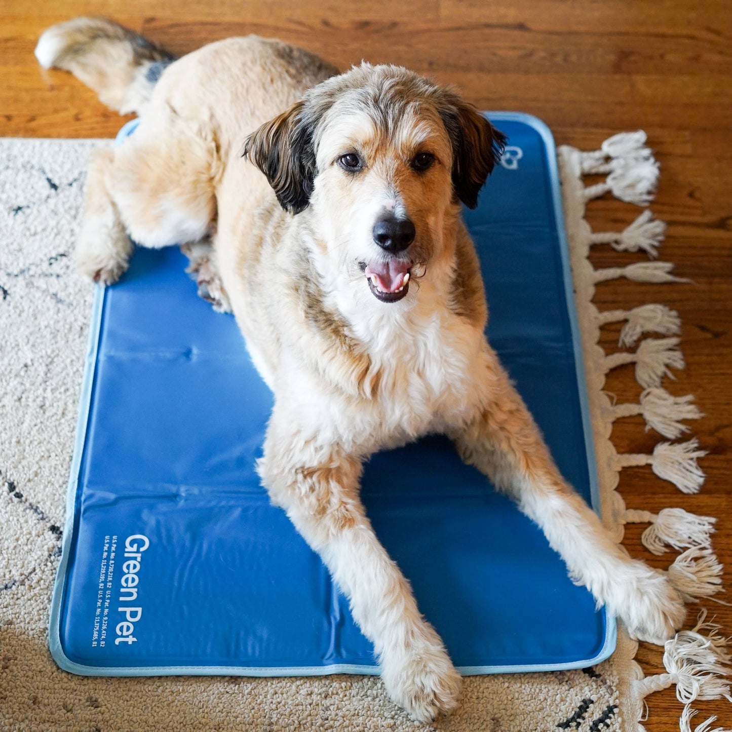 The Green Pet Shop - Cool Pet Pad