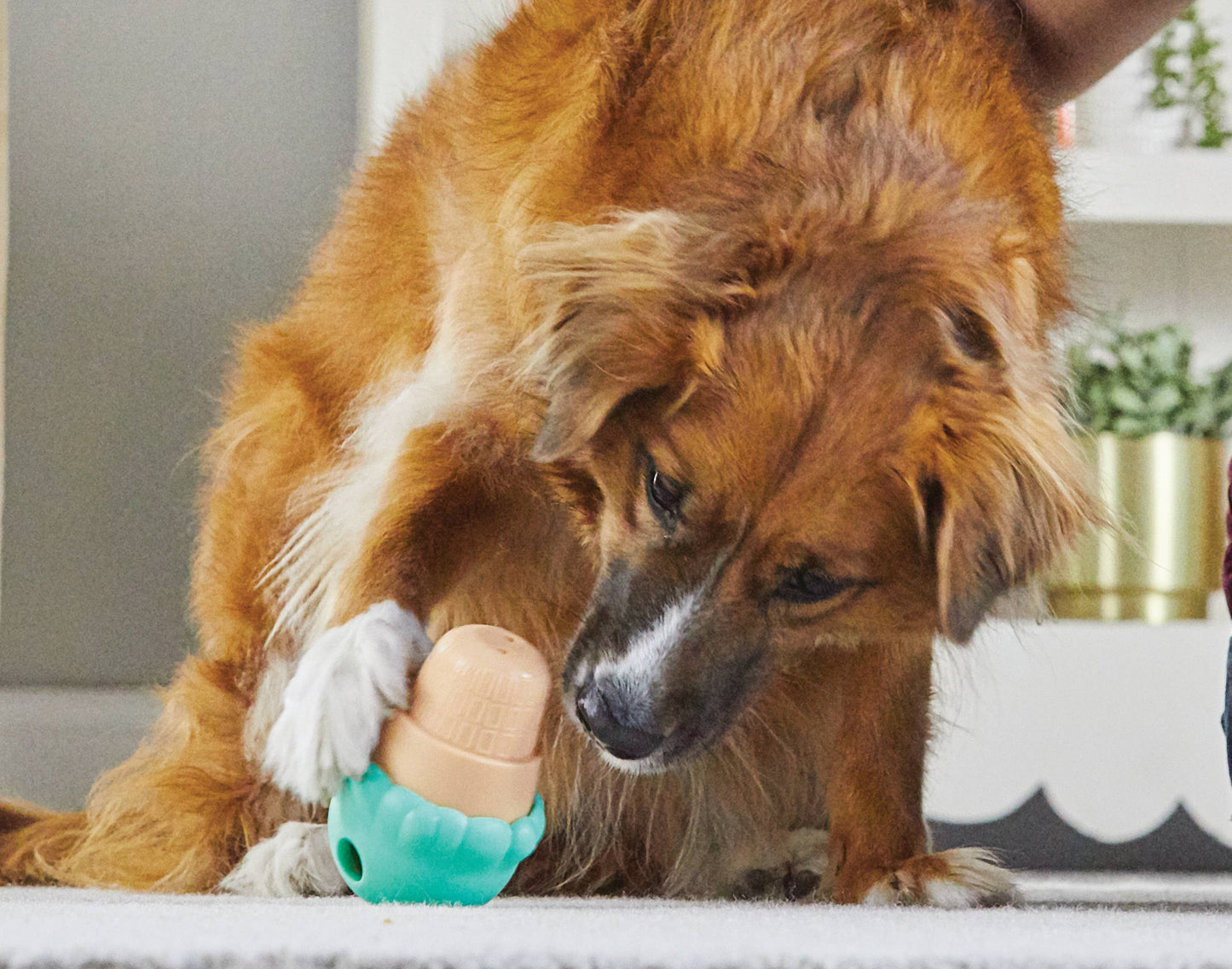 Hunger for Words and Brightkins - Brightkins™ Large Ice Cream Cone Treat Dispenser