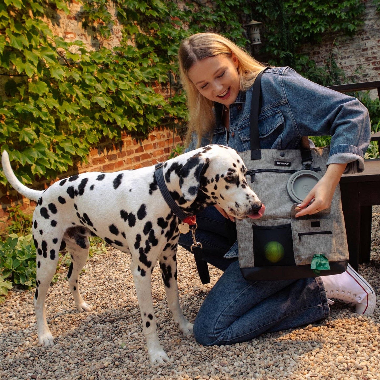 Cleverpup - Park Pack Dog Gear Tote