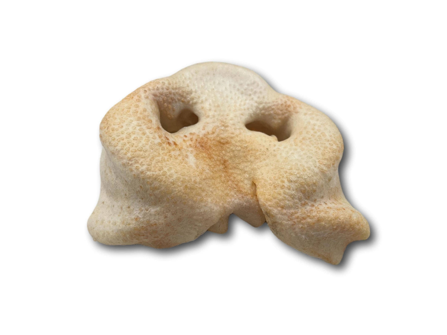 Healthy Dog Chews - Pig Snout (PE0101SN) - Single