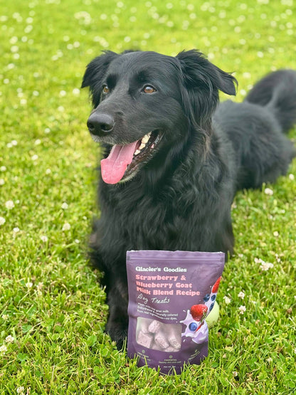 Glacier's Goodies - Goat Milk Dog Treats – Strawberry & Blueberry (7oz)