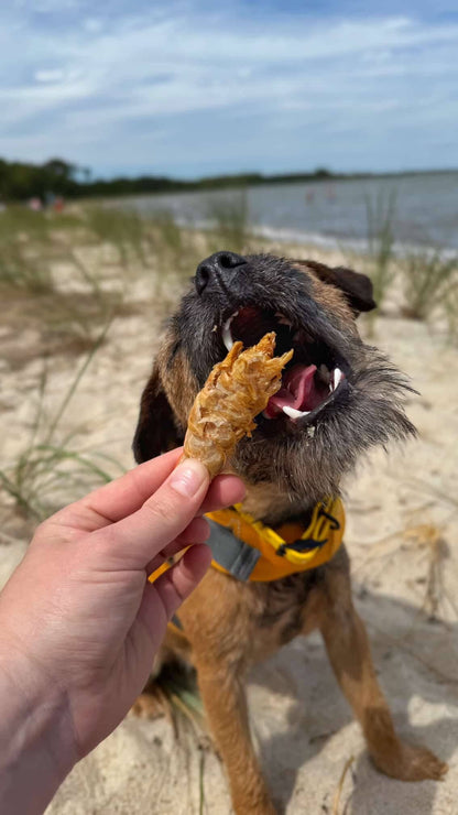 Doot's Chew Bar - Golden Nibbles - Large Prawn/Shrimp - Single Freeze-Dried