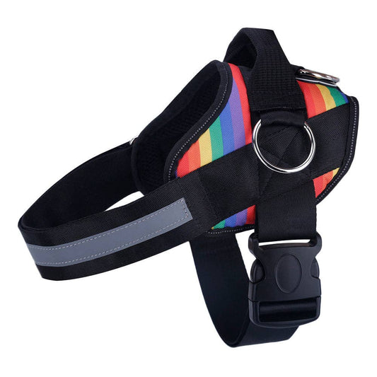 Joyride Harness - Rainbow Joyride Basic Essential Dog Harness 1.0 - XL