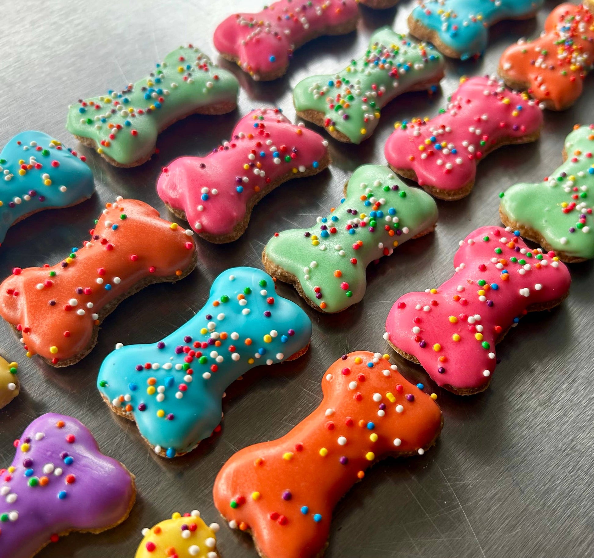 YumYum4DOGS - Mini Funsies bone dog treat- Single - Doot's Pet LLC Collars For A Cause