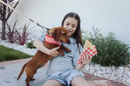 Mina + Pup - Drive-In Diner Reversible Harness
