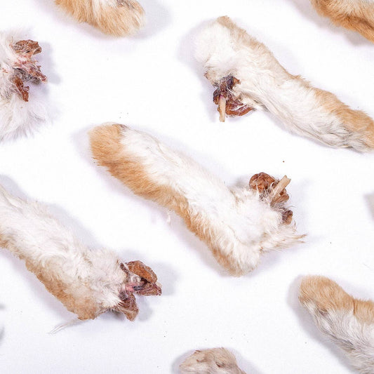 Doot's Chew Bar - Rabbit Feet