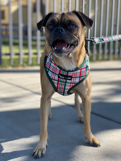 Mina + Pup - “You’re A Gift” Dog Cat Adjustable Harness