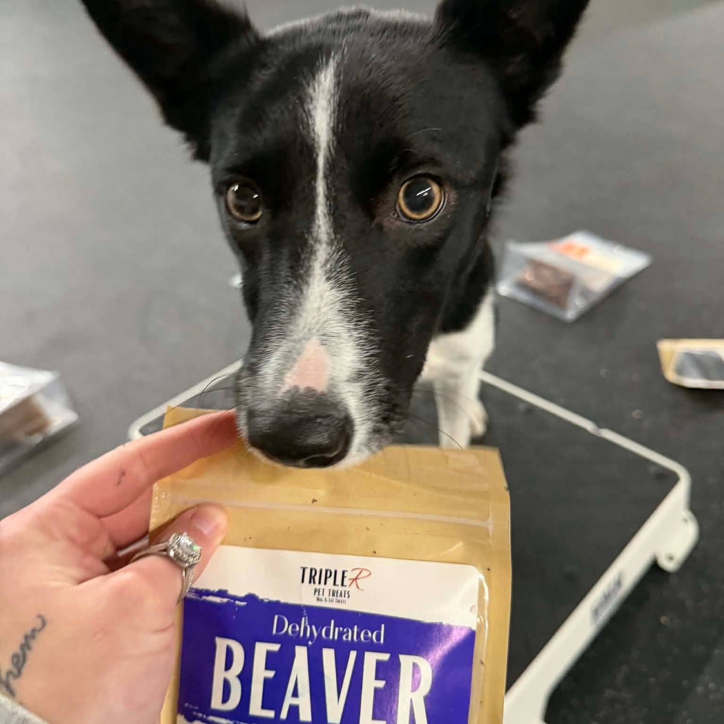 Doot's Bulk Bin- Beaver, Dehydrated 2oz