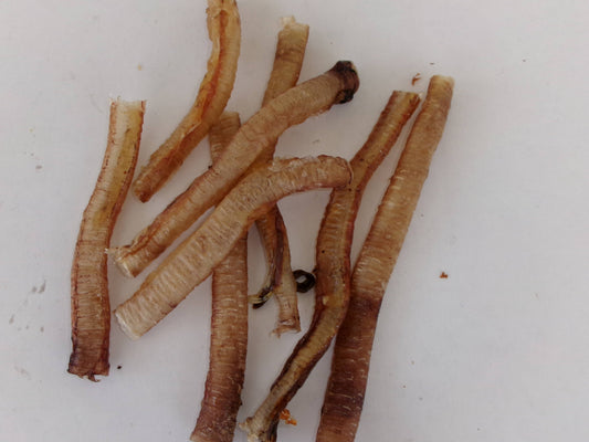Doot's Chew Bar - Turkey Trachea Dehydrated - Single