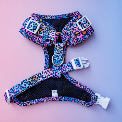 Dizzy Dog Collars - DOG HARNESS | Rainbow Ombre Leopard | Neck Adjustable Harness - Small/Medium