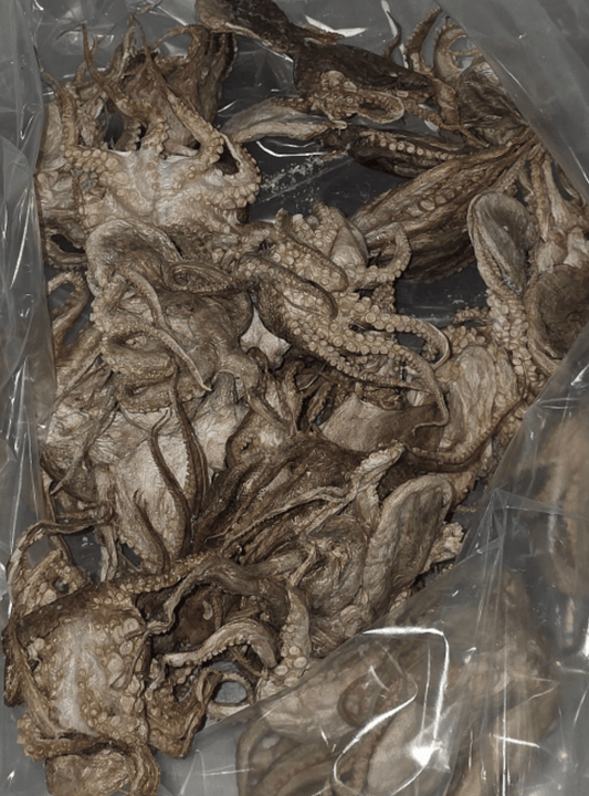 Doot's Bulk Bin - Freeze Dried Baby Octopus- Wild Caught Single Piece