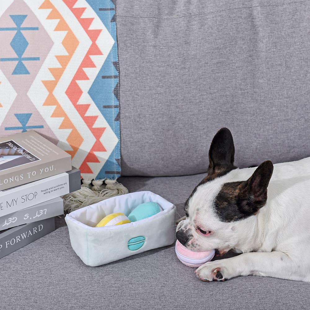 Hugsmart Products Inc - HugSmart Pet - Pooch Sweets | Macarons - Interactive Toy