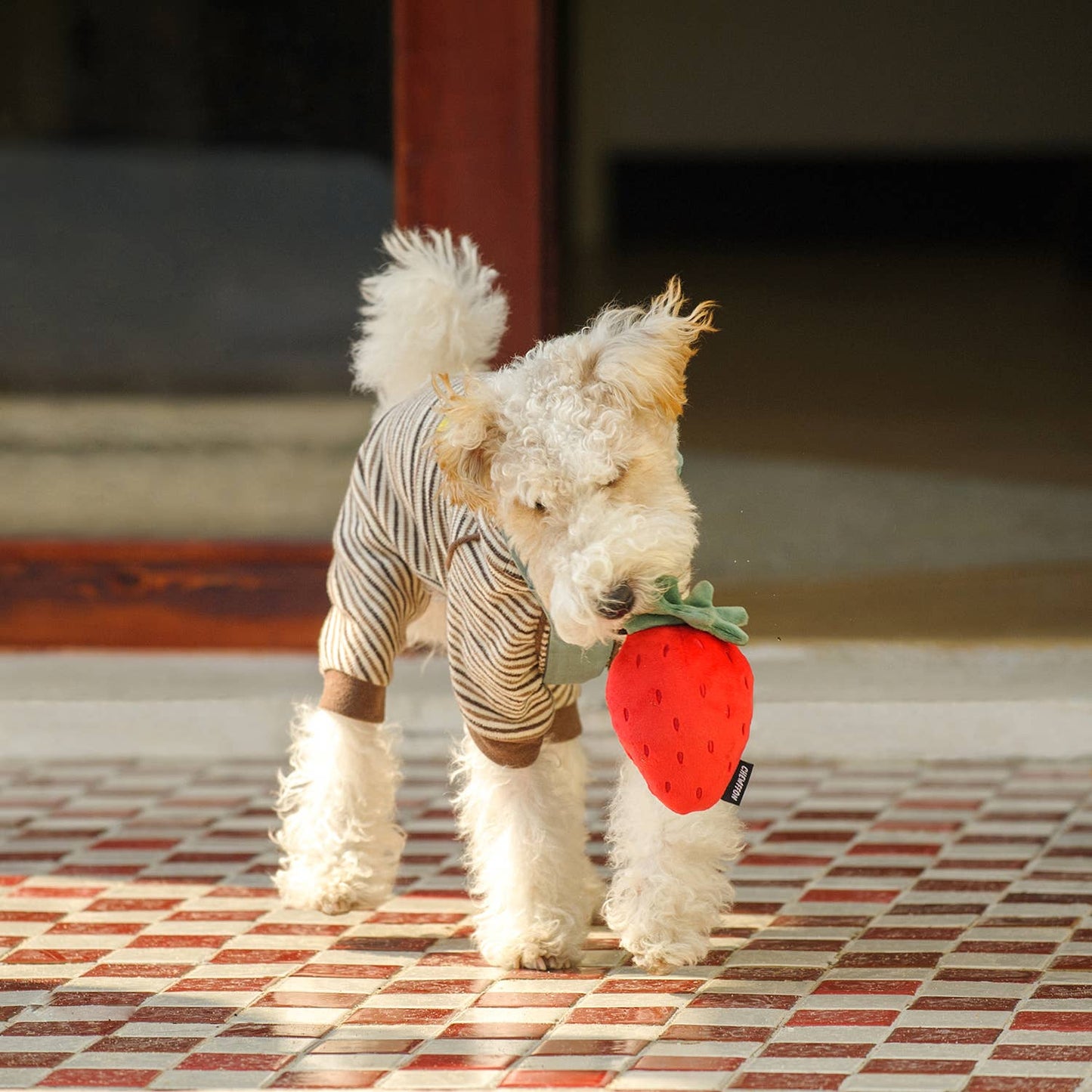 CHEWFFON - CHEWFFON Fruit Plush Squeaky Dog Toy Set – Strawberry, Lemon