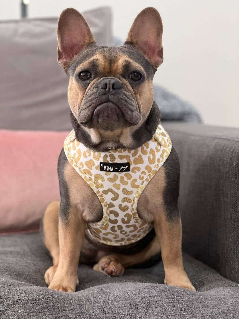 Mina + Pup - You're So Golden Adjustable Harness NOW IN XXS TOO