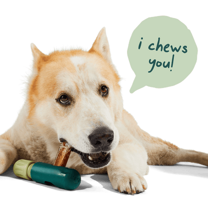 Woof - The BullySafe