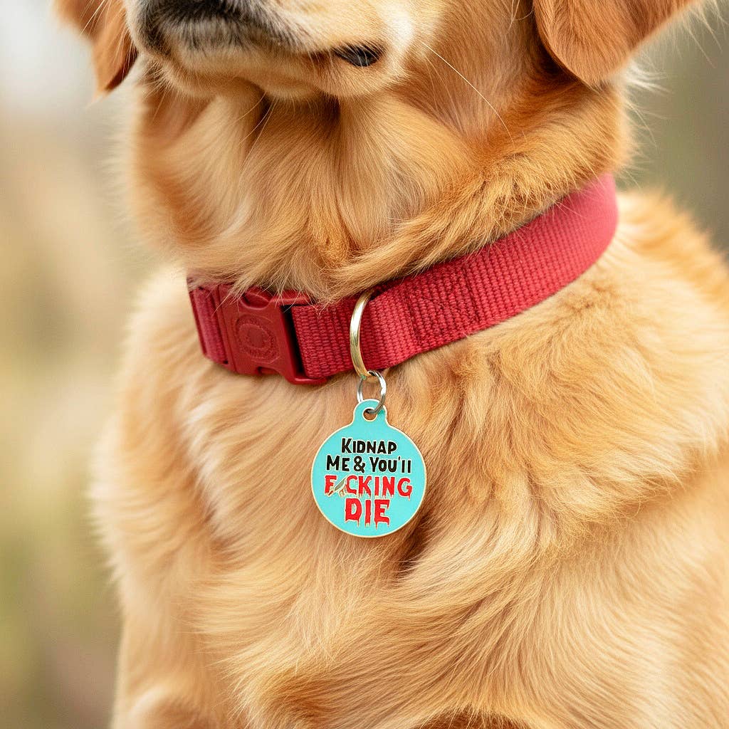 Bad Tags - Personalized Dog Collar Pet ID Tag - Kidnap Me & You Die - Engraved QR Code / Large 1.25"
