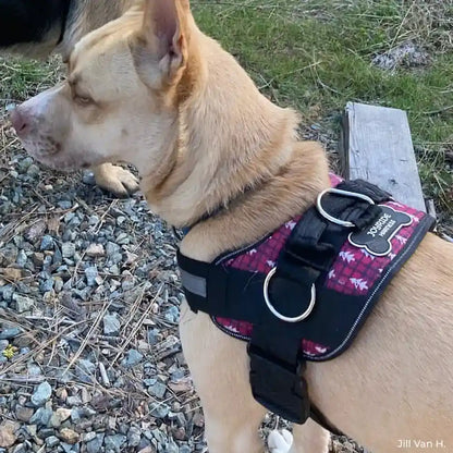 Joyride Harness - Winter Trees Joyride Basic Essential Dog Harness 1.0 SM, MD, LG, XL