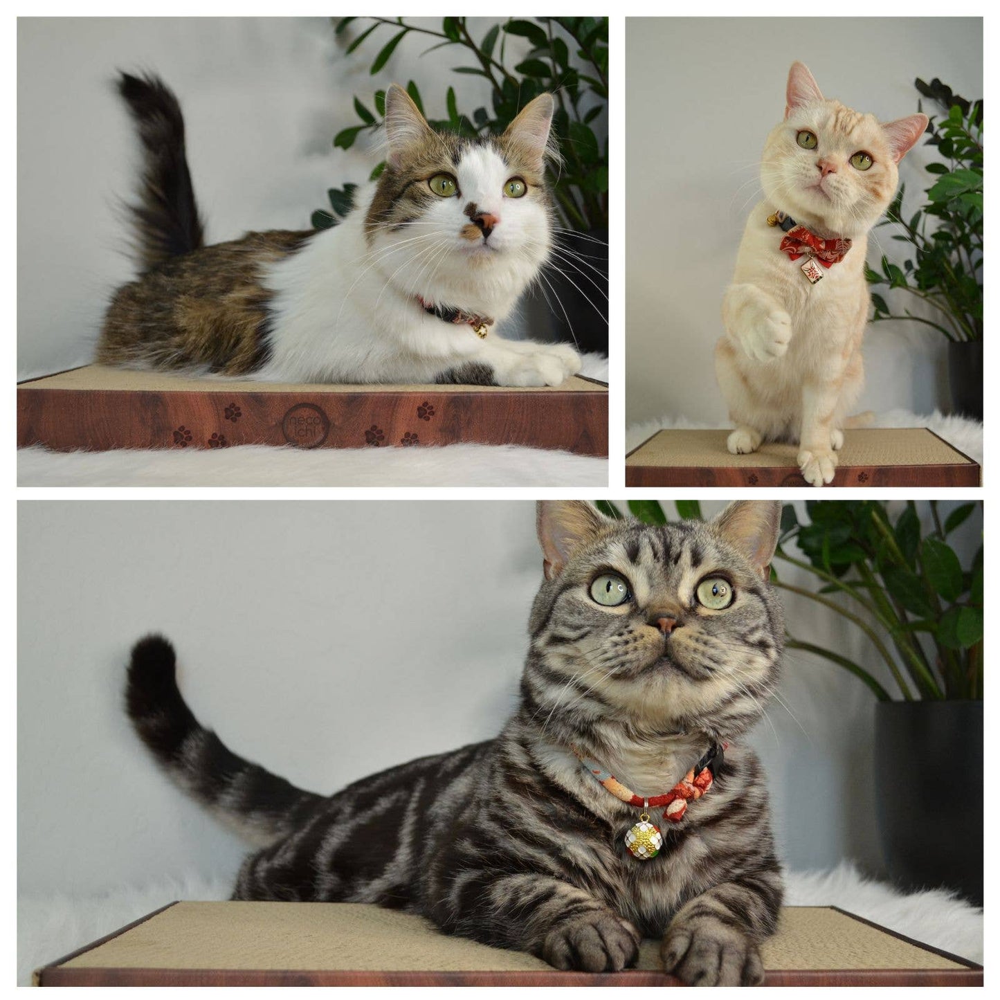 MOON-X USA, INC. - Premium High-density Cat Scratcher (Dark Cherry)