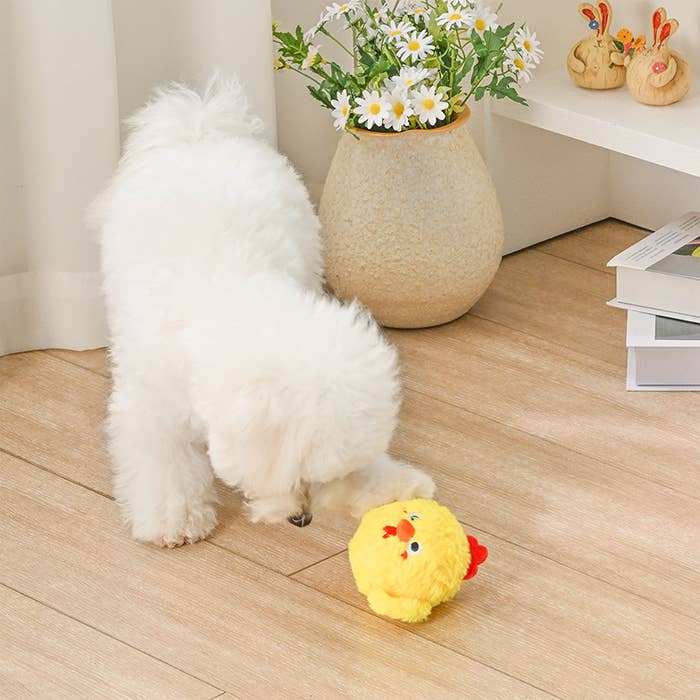 Hugsmart Products Inc - HugSmart Pet -  Farm Friendz | Chick - Dog Ball Toy