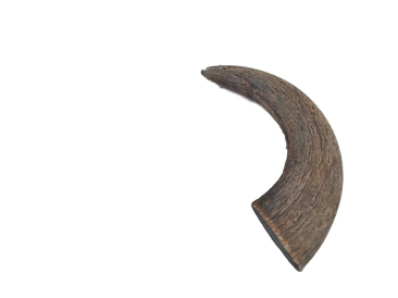 Doot's Chew Bar- Water Buffalo Horn – Small