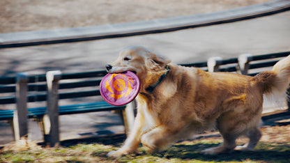 Tall Tails - GOAT Sport Flyer Disc Dog Toy - Large