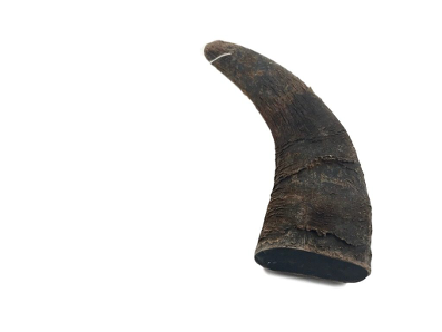 Doot's Chew Bar - Water Buffalo Horn – Medium