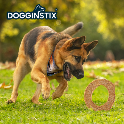 Doot's Chew Bar - Dogginstix - Lamb Collagen - Cosmic Donut - Single