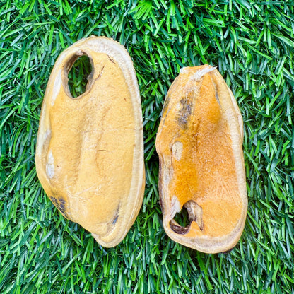 Doot's Chew Bar - Golden Nibbles - New Zealand Green-Lipped Mussel - Freeze-Dried  - 1 Mussel