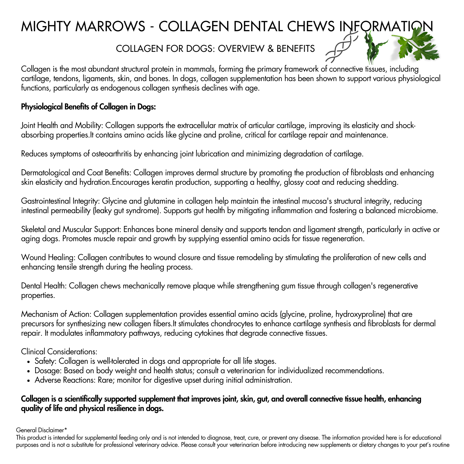 Doots Chew Bar - Wag & Bright Supply Co. - Mighty Marrows Collagen Dental Chew - Spirulina Beef - 2 sizes - Doot's Pet LLC Collars For A Cause