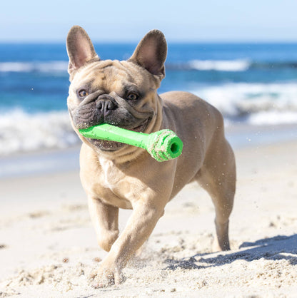 Project Hive Pet Company - Hive Fetch Stick