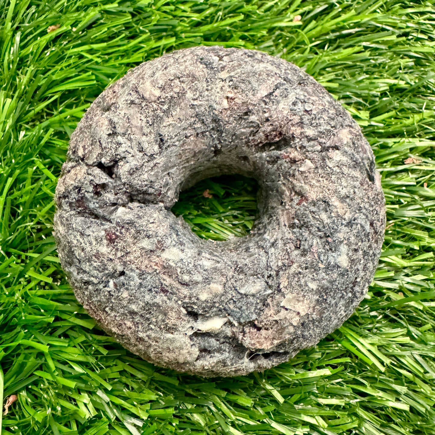 Doot's Chew Bar - Golden Nibbles - Donut - Duck & Spirulina- Freeze-Dried Treat for Dogs & Cats - 1 Donut