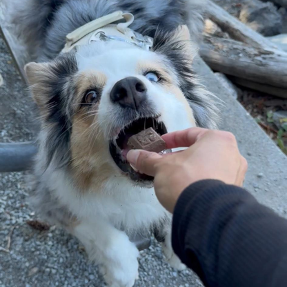 Glacier's Goodies - Goat Milk Dog Treats – Carob (7oz)