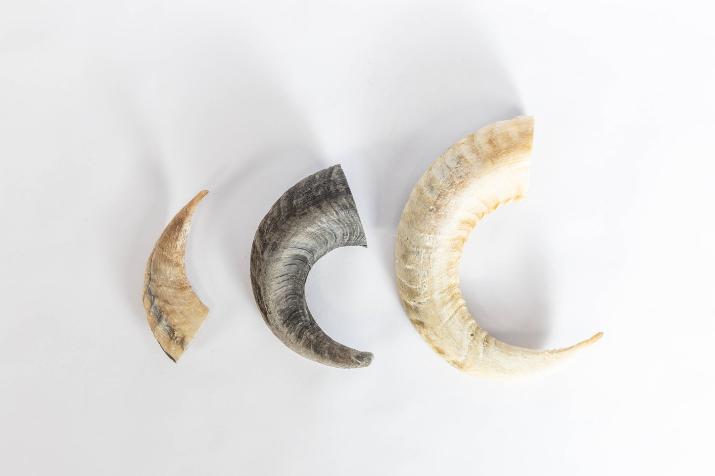 Doot's Chew Bar- Jim and Benny's - Sheep Horn Chews for Dogs