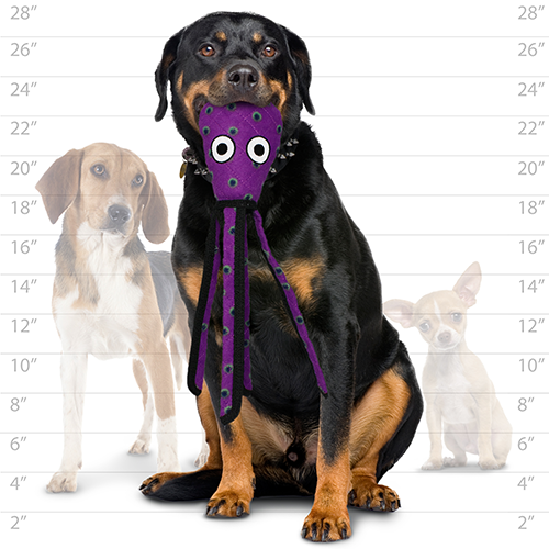 Tuffy Dog Toys - VIP Products - Tuffy Ocean Squid - Purple, Durable, Tough, Squeaky Dog Toy - Doot's Pet LLC Collars For A Cause